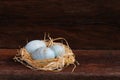 Easter Raffia Nest Duck Eggs on Rough Background Royalty Free Stock Photo