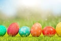 Easter screensaver, a row of Easter eggs on the green grass Royalty Free Stock Photo