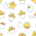 Easter seamless pattern with eggs chick and shells, yellow baby chickens isolated on white background. Vector Royalty Free Stock Photo