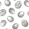 Easter seamless pattern with painted quail eggs black and white background. Hand drawn vector scattered design in vintage style Royalty Free Stock Photo