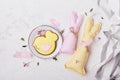 Easter seasonal pastel aesthetics pastry with crafting bunny toys.. Happy Easter background