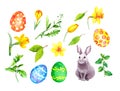 Easter set - bunny, eggs, spring flowers, green grass and flowers. Watercolor clip art collection of elements for Royalty Free Stock Photo