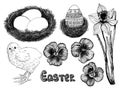 Easter set Royalty Free Stock Photo
