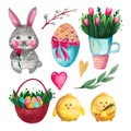 Easter set of elements watercolor illustration of a hare chicken basket eggs flowers Tulip Royalty Free Stock Photo
