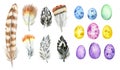 Easter set. Many colored eggs and bird feathers