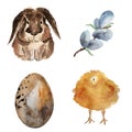 Easter set rabbit, chicken, egg and willow Royalty Free Stock Photo