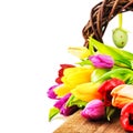 Easter setting with colorful tulips Royalty Free Stock Photo