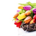 Easter setting with colorful tulips Royalty Free Stock Photo