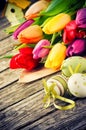 Easter setting with multicolor tulips Royalty Free Stock Photo
