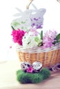 Easter setting - quail eggs and hyacinth flowers Royalty Free Stock Photo