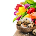 Easter setting with quail eggs and tulips Royalty Free Stock Photo