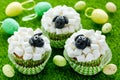 Easter sheep cupcakes on green grass background Royalty Free Stock Photo