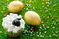 Easter sheep cupcakes on green grass background, homemade cakes shaped funny sheeps with marshmallow Royalty Free Stock Photo