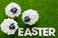 Easter sheep cupcakes Royalty Free Stock Photo