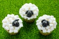 Easter sheep cupcakes on green grass background, homemade cup cakes shaped funny sheeps with marshmallow Royalty Free Stock Photo