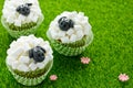 Easter sheep cupcakes on green grass background, homemade cup cakes shaped funny sheeps with marshmallow Royalty Free Stock Photo