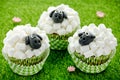 Easter sheep cupcakes on green grass background, homemade cup cakes shaped funny sheeps with marshmallow