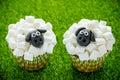 Easter sheep cupcakes on green grass Royalty Free Stock Photo