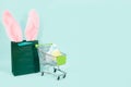 Easter shopping concept. Green paper bag and colorful eggs in a grocery basket. Place for text, advertising Royalty Free Stock Photo
