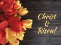 Easter sign with red and yellow tulips