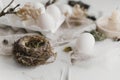 Easter simple aesthetics. Easter natural eggs, feathers, willow branches, nest on rustic white table. Stylish rural Easter still