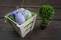 Easter small basket with colored eggs and a small bonsai on grey wooden board. Royalty Free Stock Photo