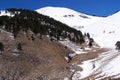 Easter snow in the mountains near ruidoso Royalty Free Stock Photo