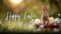 Easter spring background with grass flowers eggs basket and cute bunny in sunlight festive design. Royalty Free Stock Photo