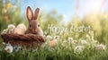 Easter spring background with grass flowers eggs basket and cute bunny in sunlight festive design. Royalty Free Stock Photo