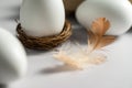 Easter, spring background. White chicken eggs in egg carton box with feather Royalty Free Stock Photo