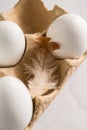 Easter, spring background. White chicken eggs in egg carton box with feather Royalty Free Stock Photo