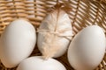 Easter, spring background. White chicken eggs in egg carton box with feather Royalty Free Stock Photo