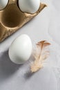 Easter, spring background. White chicken eggs in egg carton box with feather Royalty Free Stock Photo