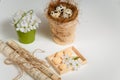 Easter and spring concept. Cherry blossom in small green bucket, quail eggs and note paper on white background.