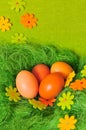Easter spring Egg Royalty Free Stock Photo