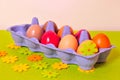 Easter spring Egg Royalty Free Stock Photo