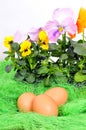 Easter spring flower eggs