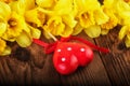 Easter spring flowers on dark wooden board, sunlight effect Royalty Free Stock Photo