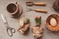 Easter and spring preparations. Hyacinth, eggs and garden tools on table, top view