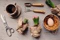 Easter and spring preparations. Hyacinth, eggs and garden tools on table, top view