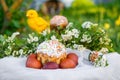 Easter spring russian cake and eggs in the garden