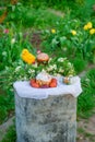 Easter spring russian cake and eggs in the garden