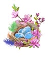 Hand painted watercolor thrush`s nest with eggs on white. Aquarelle nature illustration. Royalty Free Stock Photo