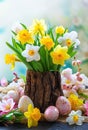 Easter still life with bouquet of daffodils in vase from bark of wood and Easter egg