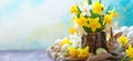 Easter still life with bouquet of daffodils in vase from bark of wood, Easter eggs and cute rabbit