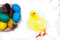 Easter still life with colored eggs, easter cake and watercolor chicken