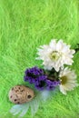 Easter still-life with flowers, eggs, feathers on a sisal fiber