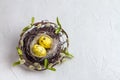 Easter still life, postcard - Rustic still life with quail eggs in nest on rough concrete surface Royalty Free Stock Photo