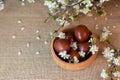 Easter still life, rustic style table with natural colored eggs and white cherry blossoms Royalty Free Stock Photo