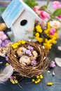 Easter still life with spring flowers and eggs